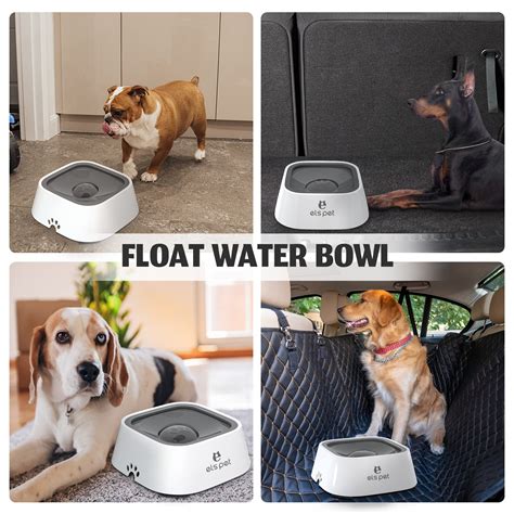 splashless water bowl for dogs.